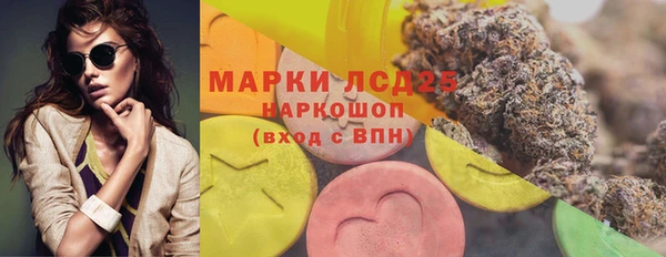 хмурый Алексин