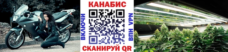 что такое наркотик Цоци-Юрт Каннабис Bruce Banner